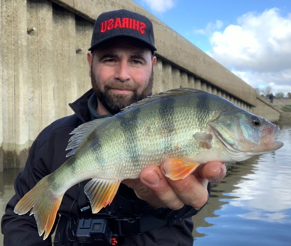 CAPTURES 2020 Pêche au lac du Der